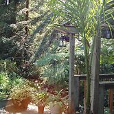 Daisy's Guest House