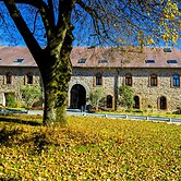 Etoile de Pompadour