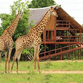 Pezulu Tree House Lodge