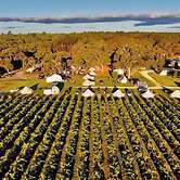 Coonawarra Bush Holiday Park