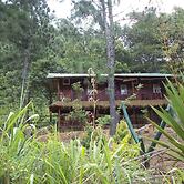 Hewaheta Hideaway