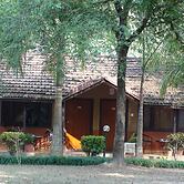 Safari Narayani Hotel- All Inclusive