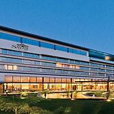 Sayaji Raipur