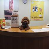 Hotel Chene Kijimadaira