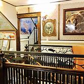 Park Hotel Yellowstone