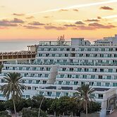 FERGUS Cactus Garden