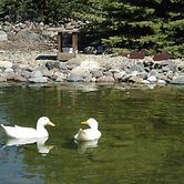 Paradise Gateway B&B and Vacation Homes