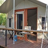 Wild Olive Tree Camp