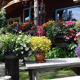 Brigitte's Bavarian B&B