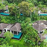 The Damai