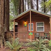 Emerald Forest Cabins