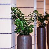 Greenfield Hotel Golf & Spa