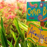 Solar Porto de Galinhas