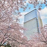 Mandarin Oriental, Tokyo