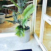 Masoanri's Palace Hotel