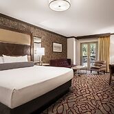 Horseshoe Black Hawk