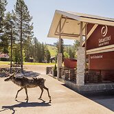 Lapland Hotels Sirkantähti