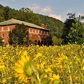 Elkhorn Inn & Theatre