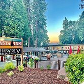 Shasta Inn
