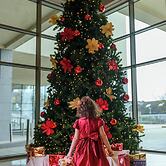 Shearwater Hotel & Spa