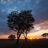Ezemvelo Nature Reserve