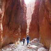 Auberge Des Peupliers