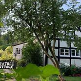 Yew Tree Cottage B&B