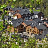 Levi Suites Levi Gold