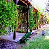 Kibbutz Tiratzvi - Country Lodging