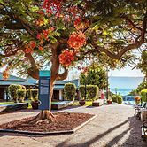 Daria - Authentic Israel Experience