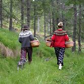 Kaldá Lyngholt Holiday Homes