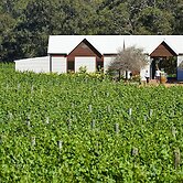 Vineyard Cottage at Upper Reach Winery