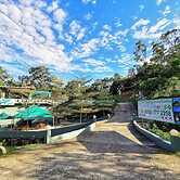 Green Peace Sungai Lembing