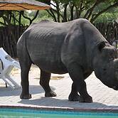 Khama Rhino Sanctuary