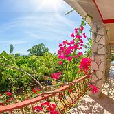 Rollanda Hotel Restaurant