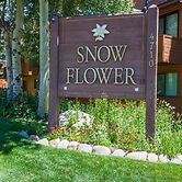 Snowflower 62