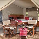 Hammerkop Migration Camp