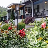 The Inn At Warm Springs