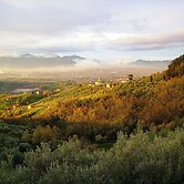 Fattoria Gambaro di Petrognano