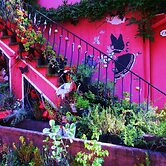 Tilly's B&B