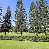 Turtle Bay Fazio First Tee 13***nuc 90-tvu-0579 1 Bedroom Condo by Red