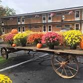 Cianci's Motel and Suites