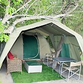 Hippo Island Okavango Delta