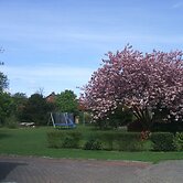 Hotel Pension Zum Hanseaten