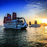 Gray Line Private Luxury Cruise