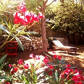 B&B Masseria delle rose 1760