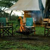 Gnu Ndutu Camp