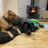 90 Mile Beach House & Villas