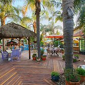 Out of Africa Sea of Galilee Resort