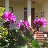 Villa Sabrina